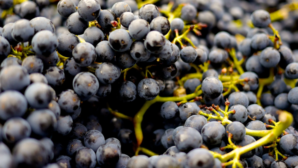 scale_1200 (45).png